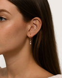 Daffany Leverback 14k/10K Solid Gold Drop Earrings