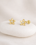 Daffany Flower 14k/10K Solid Gold Stud Earrings