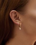 Daffany Single Diamond 14k/10K Solid Gold Hoop Earrings