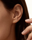 Daffany Eight-Pointed Star 14k/10K Solid Gold Stud Earrings