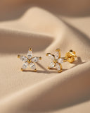 Daffany Five-petal Flower 14k/10K Solid Gold Stud Earrings