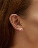 Daffany Butterfly 14k/10K Solid Gold Stud Earrings