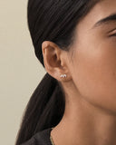 Daffany Leaf 14k/10K Solid Gold Stud Earrings